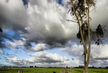 Gate Live 策略跟单争霸赛，赢取 $10,000 奖励