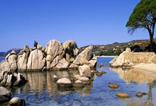 Gate Live 策略跟单争霸赛，赢取 $10,000 奖励